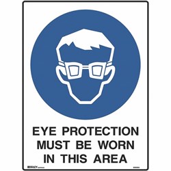 Brady Mandatory Sign Eye Protection Must Be Worn 450W x 600mmH Metal White/Blue